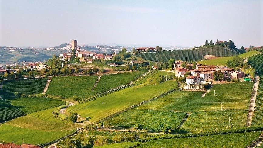 Nizza DOCG "Cipressi" 2020 - Michele Chiarlo